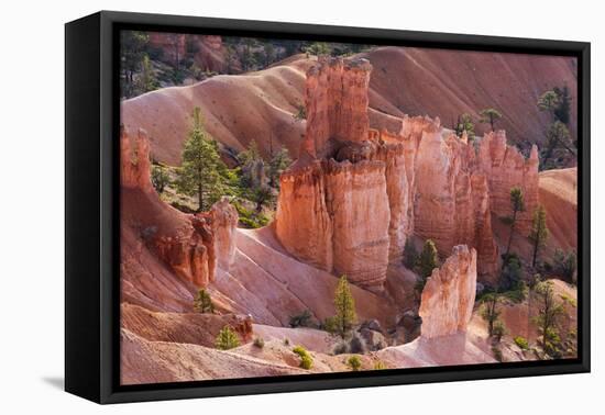 Utah, Bryce Canyon National Park, Bryce Canyon and Hoodoos-Jamie And Judy Wild-Framed Premier Image Canvas