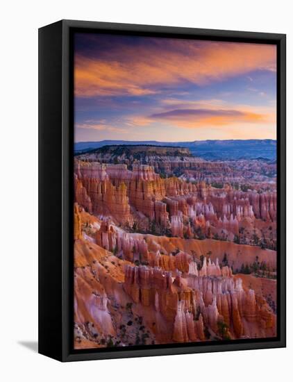 Utah, Bryce Canyon National Park, from Sunset Point, USA-Alan Copson-Framed Premier Image Canvas