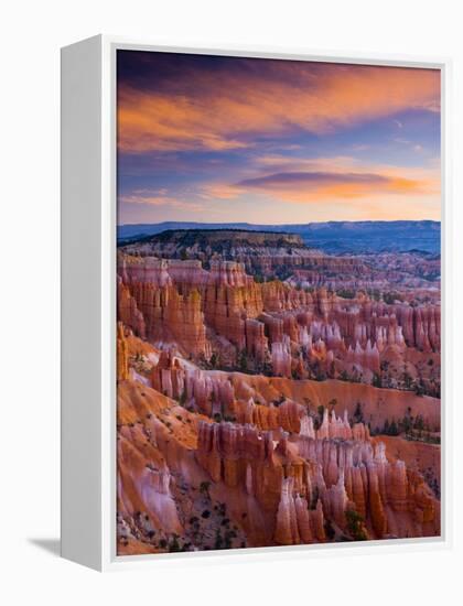 Utah, Bryce Canyon National Park, from Sunset Point, USA-Alan Copson-Framed Premier Image Canvas