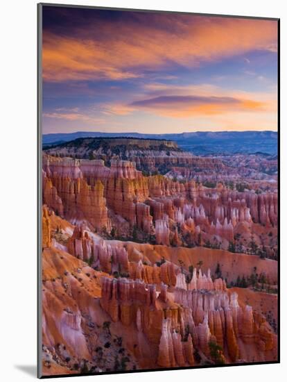 Utah, Bryce Canyon National Park, from Sunset Point, USA-Alan Copson-Mounted Photographic Print