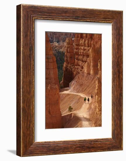 Utah, Bryce Canyon National Park, Hikers on Navajo Loop Trail Through Hoodoos-David Wall-Framed Photographic Print