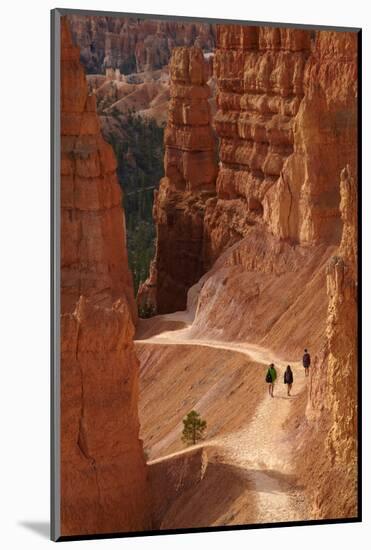 Utah, Bryce Canyon National Park, Hikers on Navajo Loop Trail Through Hoodoos-David Wall-Mounted Photographic Print