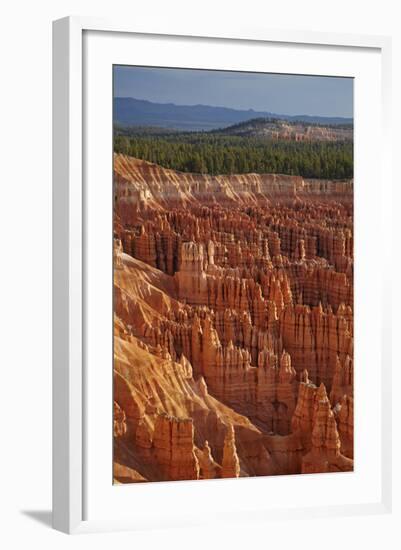 Utah, Bryce Canyon National Park, Hoodoos in Bryce Amphitheater-David Wall-Framed Photographic Print