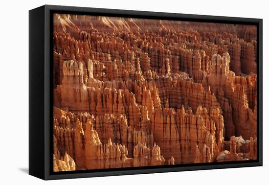 Utah, Bryce Canyon National Park, Hoodoos in Bryce Amphitheater-David Wall-Framed Premier Image Canvas