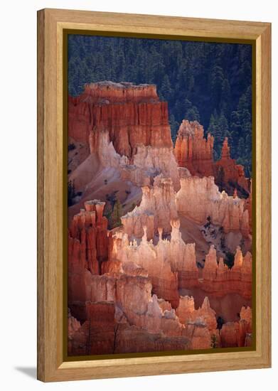 Utah, Bryce Canyon National Park, Hoodoos in Bryce Amphitheater-David Wall-Framed Premier Image Canvas