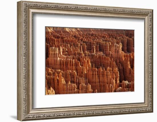 Utah, Bryce Canyon National Park, Hoodoos in Bryce Amphitheater-David Wall-Framed Photographic Print