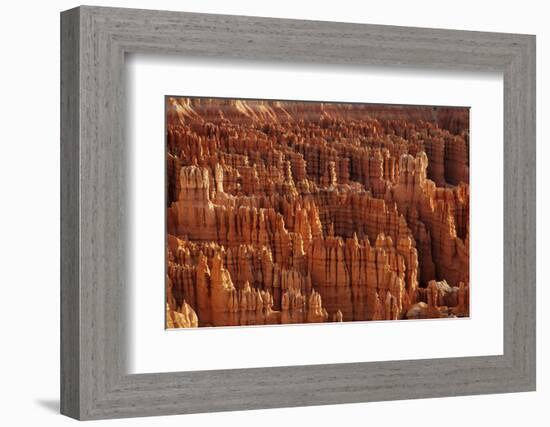 Utah, Bryce Canyon National Park, Hoodoos in Bryce Amphitheater-David Wall-Framed Photographic Print