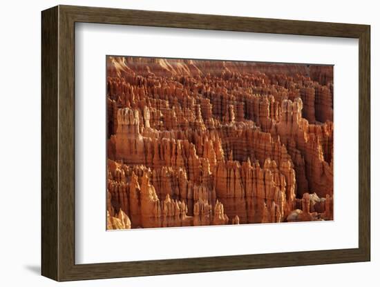 Utah, Bryce Canyon National Park, Hoodoos in Bryce Amphitheater-David Wall-Framed Photographic Print