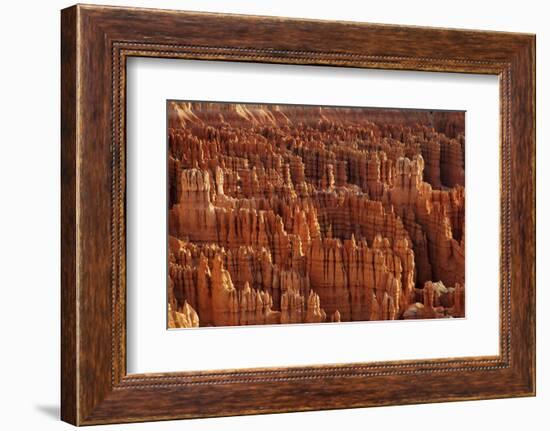 Utah, Bryce Canyon National Park, Hoodoos in Bryce Amphitheater-David Wall-Framed Photographic Print