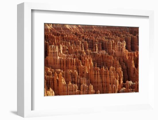 Utah, Bryce Canyon National Park, Hoodoos in Bryce Amphitheater-David Wall-Framed Photographic Print