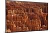 Utah, Bryce Canyon National Park, Hoodoos in Bryce Amphitheater-David Wall-Mounted Photographic Print