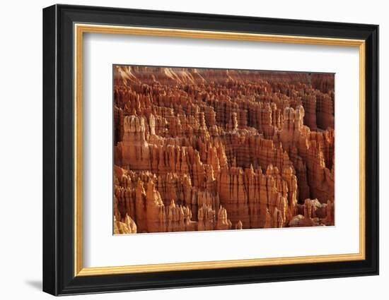 Utah, Bryce Canyon National Park, Hoodoos in Bryce Amphitheater-David Wall-Framed Photographic Print