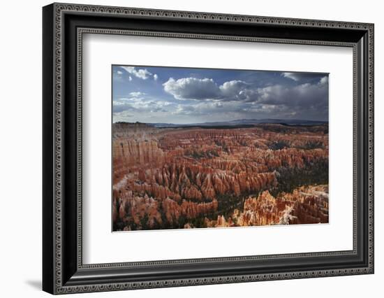 Utah, Bryce Canyon National Park, Hoodoos in Bryce Amphitheater-David Wall-Framed Photographic Print