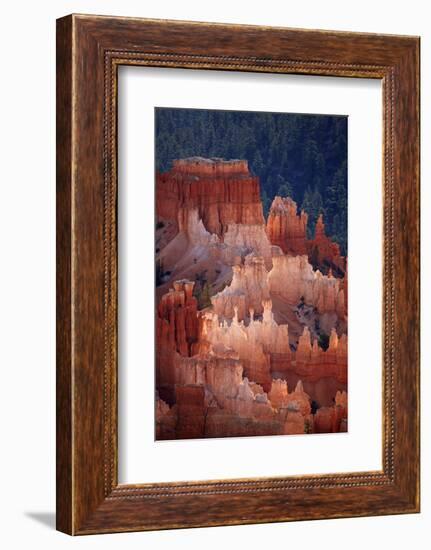 Utah, Bryce Canyon National Park, Hoodoos in Bryce Amphitheater-David Wall-Framed Photographic Print