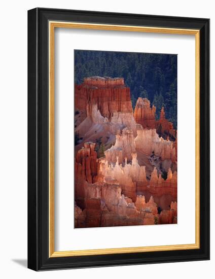 Utah, Bryce Canyon National Park, Hoodoos in Bryce Amphitheater-David Wall-Framed Photographic Print