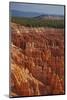 Utah, Bryce Canyon National Park, Hoodoos in Bryce Amphitheater-David Wall-Mounted Photographic Print