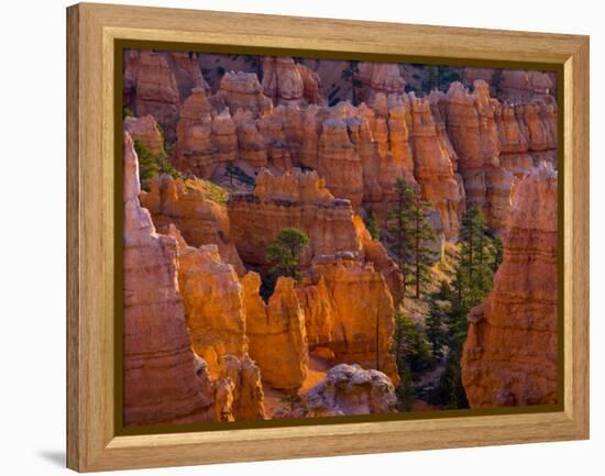 Utah, Bryce Canyon National Park, Near Sunset Point, USA-Alan Copson-Framed Premier Image Canvas