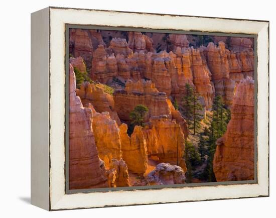 Utah, Bryce Canyon National Park, Near Sunset Point, USA-Alan Copson-Framed Premier Image Canvas