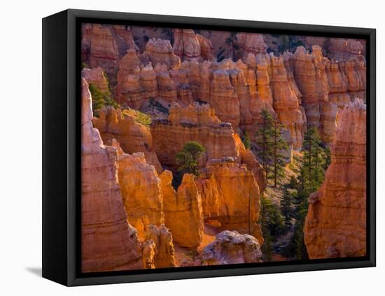 Utah, Bryce Canyon National Park, Near Sunset Point, USA-Alan Copson-Framed Premier Image Canvas