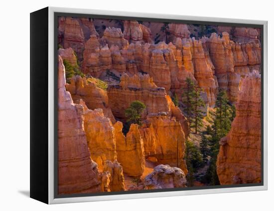 Utah, Bryce Canyon National Park, Near Sunset Point, USA-Alan Copson-Framed Premier Image Canvas