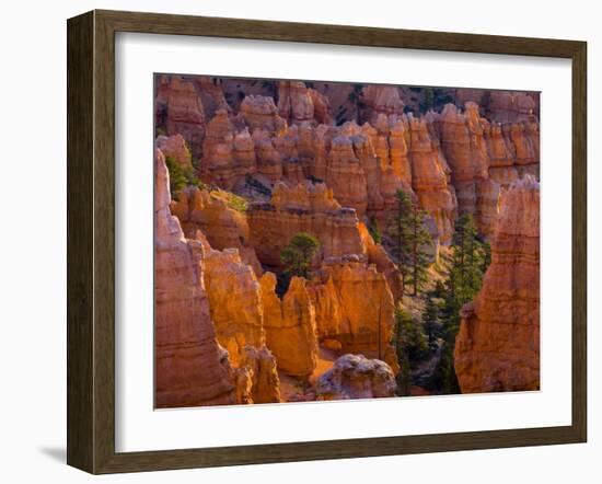 Utah, Bryce Canyon National Park, Near Sunset Point, USA-Alan Copson-Framed Photographic Print