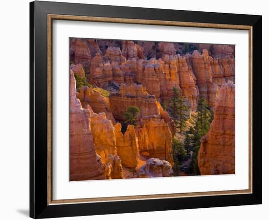 Utah, Bryce Canyon National Park, Near Sunset Point, USA-Alan Copson-Framed Photographic Print