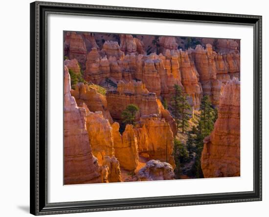 Utah, Bryce Canyon National Park, Near Sunset Point, USA-Alan Copson-Framed Photographic Print