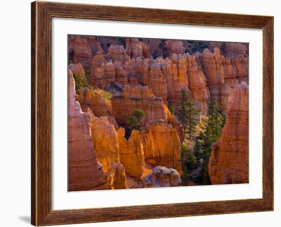 Utah, Bryce Canyon National Park, Near Sunset Point, USA-Alan Copson-Framed Photographic Print