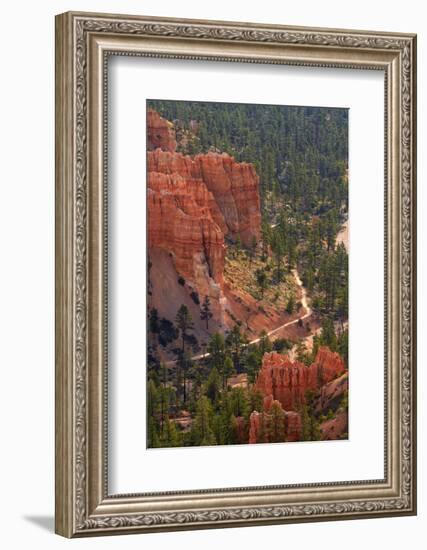 Utah, Bryce Canyon National Park, Queens Garden Trail Through Hoodoos-David Wall-Framed Photographic Print