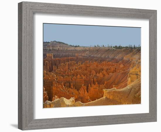 Utah, Bryce Canyon National Park. View of canyon with hoodoos-Jamie & Judy Wild-Framed Photographic Print