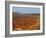 Utah, Bryce Canyon National Park. View of canyon with hoodoos-Jamie & Judy Wild-Framed Photographic Print