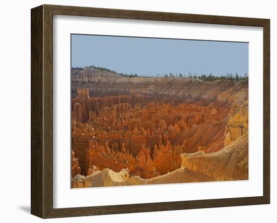 Utah, Bryce Canyon National Park. View of canyon with hoodoos-Jamie & Judy Wild-Framed Photographic Print