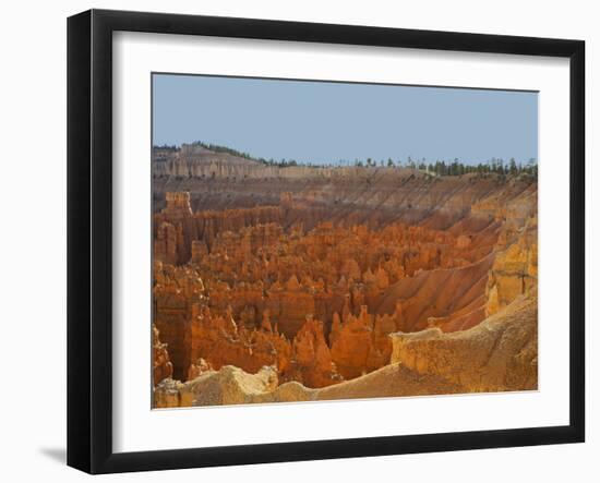 Utah, Bryce Canyon National Park. View of canyon with hoodoos-Jamie & Judy Wild-Framed Photographic Print