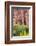 Utah, Capitol Reef National Park. Cottonwood Trees and Cliff Streaked with Desert Varnish-Jaynes Gallery-Framed Photographic Print