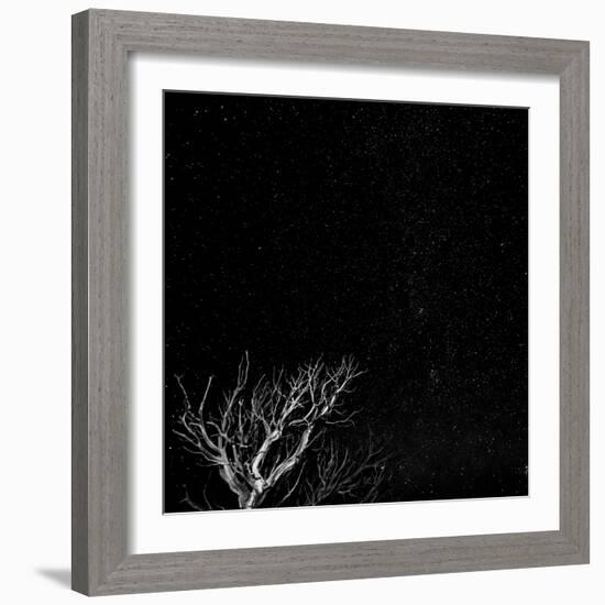 Utah, Capitol Reef National Park. Dead Tree and Night Sky-Jaynes Gallery-Framed Photographic Print