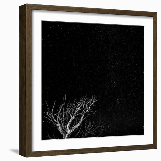 Utah, Capitol Reef National Park. Dead Tree and Night Sky-Jaynes Gallery-Framed Photographic Print