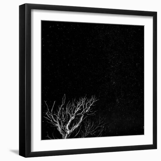 Utah, Capitol Reef National Park. Dead Tree and Night Sky-Jaynes Gallery-Framed Photographic Print
