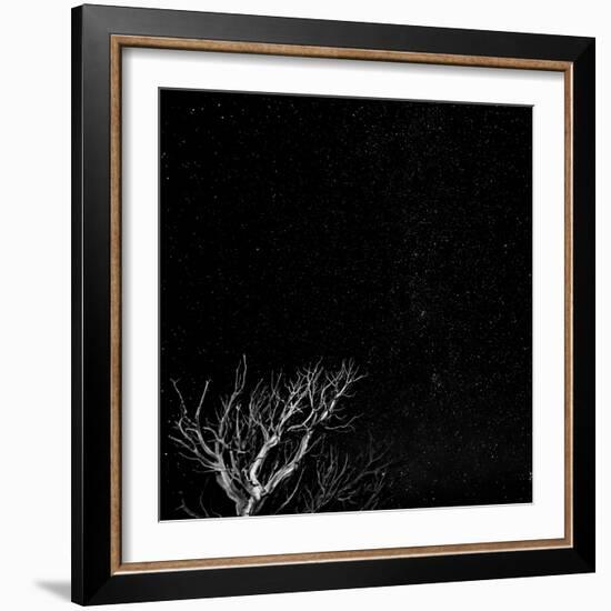 Utah, Capitol Reef National Park. Dead Tree and Night Sky-Jaynes Gallery-Framed Photographic Print