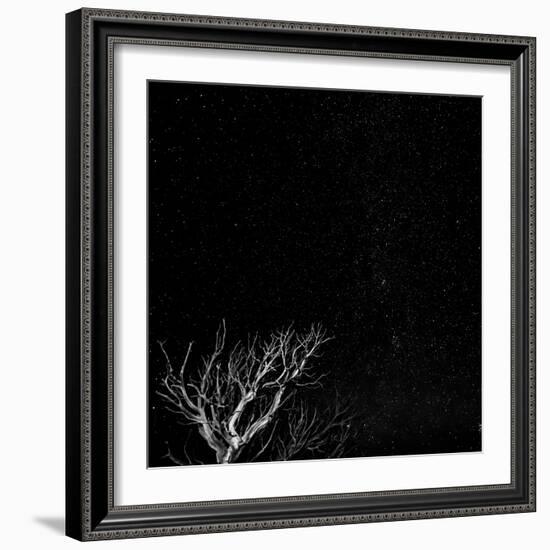 Utah, Capitol Reef National Park. Dead Tree and Night Sky-Jaynes Gallery-Framed Photographic Print