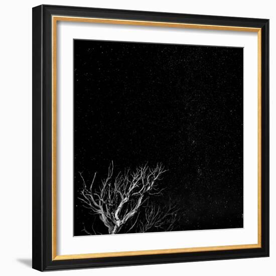 Utah, Capitol Reef National Park. Dead Tree and Night Sky-Jaynes Gallery-Framed Photographic Print