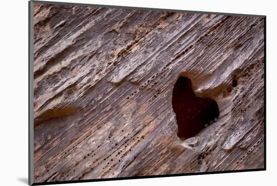 Utah, Capitol Reef National Park. Heart-Shaped Hole in Rock-Jaynes Gallery-Mounted Photographic Print