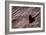 Utah, Capitol Reef National Park. Heart-Shaped Hole in Rock-Jaynes Gallery-Framed Photographic Print