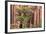 Utah, Capitol Reef National Park. Juniper Tree and a Cliff Streaked with Desert Varnish-Jaynes Gallery-Framed Photographic Print