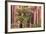 Utah, Capitol Reef National Park. Juniper Tree and a Cliff Streaked with Desert Varnish-Jaynes Gallery-Framed Photographic Print