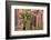 Utah, Capitol Reef National Park. Juniper Tree and a Cliff Streaked with Desert Varnish-Jaynes Gallery-Framed Photographic Print