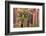 Utah, Capitol Reef National Park. Juniper Tree and a Cliff Streaked with Desert Varnish-Jaynes Gallery-Framed Photographic Print