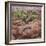 Utah, Capitol Reef National Park. Juniper Tree and Pool in Rock-Jaynes Gallery-Framed Photographic Print