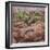 Utah, Capitol Reef National Park. Juniper Tree and Pool in Rock-Jaynes Gallery-Framed Photographic Print