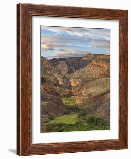 Utah, Capitol Reef National Park. Mountainous Landscape-Jaynes Gallery-Framed Photographic Print