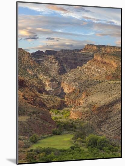 Utah, Capitol Reef National Park. Mountainous Landscape-Jaynes Gallery-Mounted Photographic Print